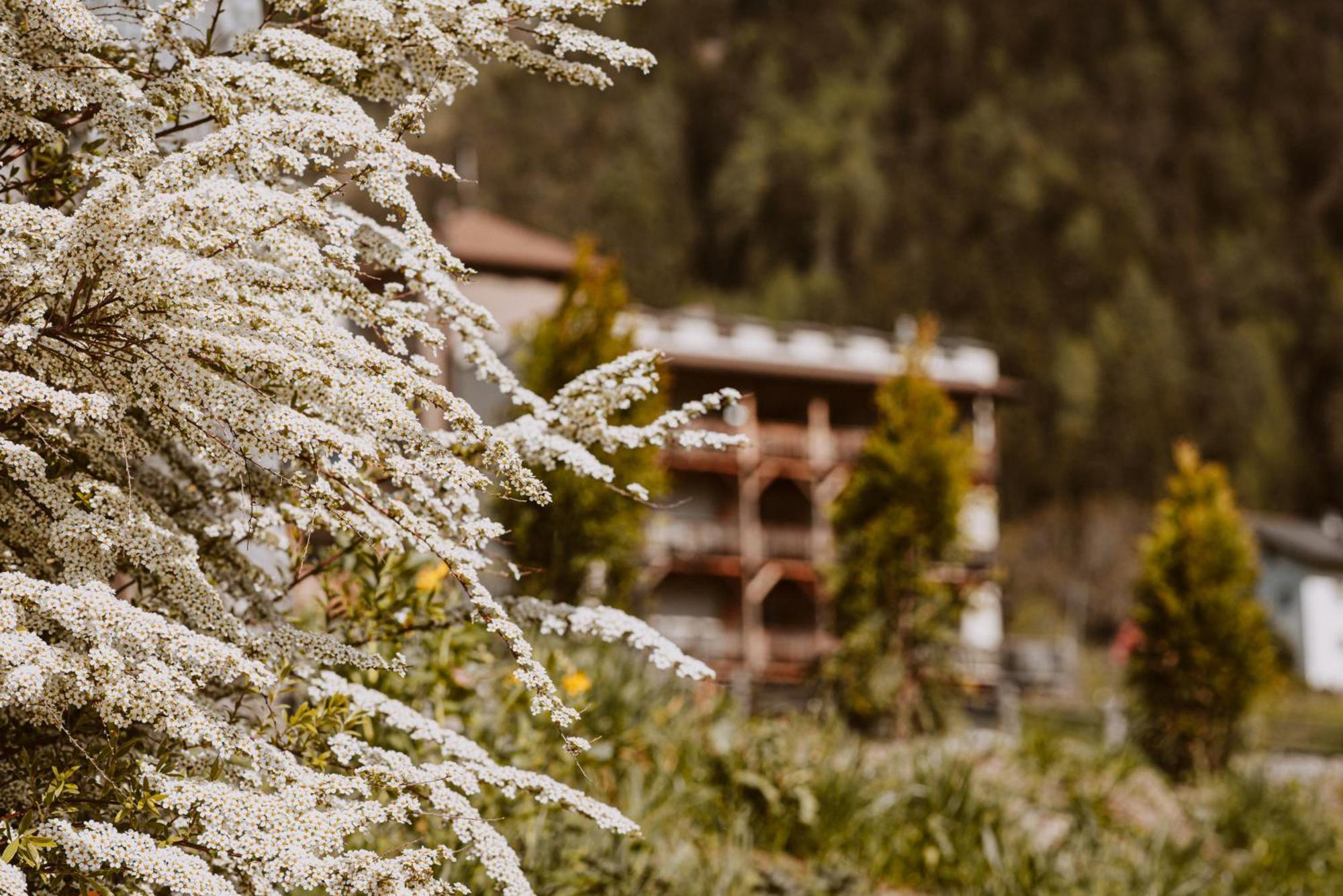 Hotel Bergschloessl Luson Esterno foto